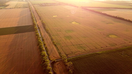 Drone flying over road between wheat fields during dawn sunset.