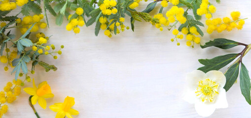 白い背景にミモザと春の花、背景素材、フレーム素材