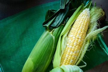 To steam corn on the cob in summer.