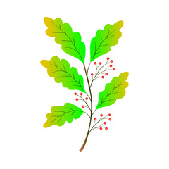 red and green leaves