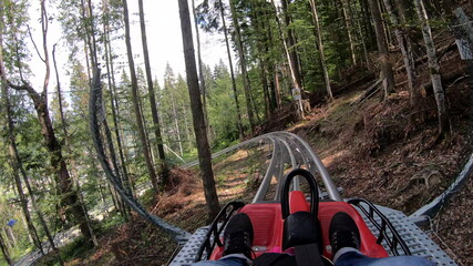 Person rides in fast rodelbahn sledding in mountains in woods among trees - obrazy, fototapety, plakaty
