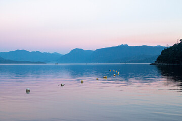 Fototapeta premium lake bled country