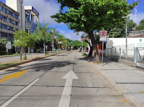 Avenida desierta vac&iacute;a con palmeras y se&ntilde;al&eacute;tica en la acera bajo un cielo despejado