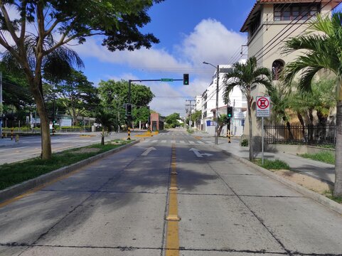Intersección de avenidas desiertas vacías con una parada de bus y árboles y palmeras y semáforos y señalética en la acera bajo un cielo despejado