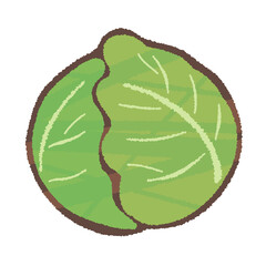 キャベツ