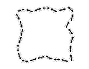 Black ants square border. Ants forming messy rectangular shape isolated in white background. Vector illustration