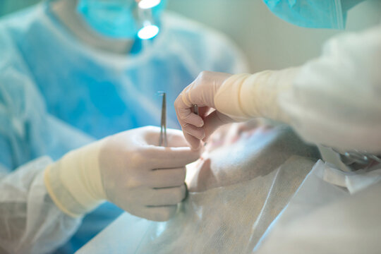 surgical instrument in the hands of a surgeon in the operating room, the concept of a surgeon's equipment.