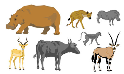 flat vector of African animals set, buffalo, hyena, warthog, hippopotamus, impala, oryx, baboon