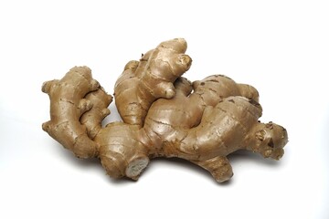 photo of Ginger on a white background