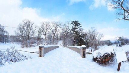 冬の道南大沼公園13