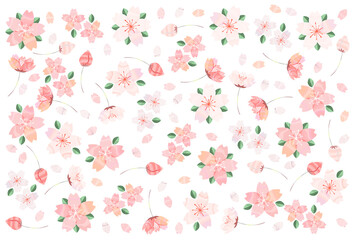 春の桜　背景　手描き風　ベクターイラスト