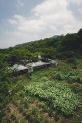 rural village in the mountains