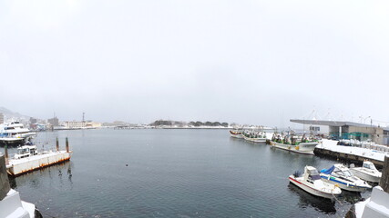 Fototapeta premium 冬の函館ベイエリア1