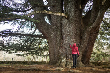 Woman enjoying nature with a centenary tree