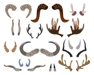 Horns and antlers of different shapes vector illustrations set