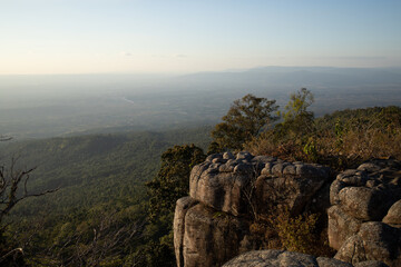 landscape in the morning