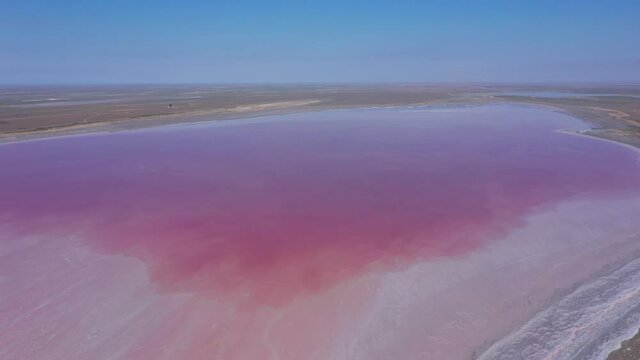 Pink salty lake Manych. Saline with pink plankton. Aerial wide shot from top to bottom on a summer sunny day. Dagestan, Russia