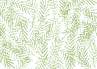 Naklejka na ściany i meble Watercolor Background. Colorful tropical green leaves on white Backdrop