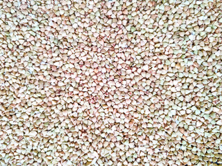 Fototapeta premium Green buckwheat background - raw healthy diet food