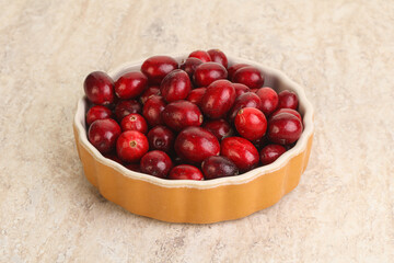 Ripe sweet tasty cranberry in the bowl