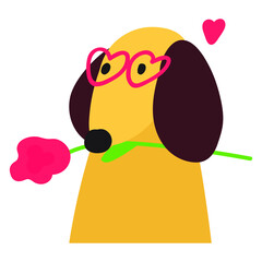 Dachshund with one red rose. Hand drawn vector illustration on Valentine's day.