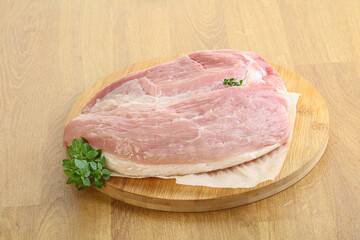Piece of the raw pork meat