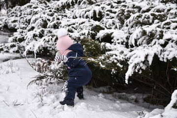 Fototapeta na wymiar the kid touches the snow on the bushes in winter