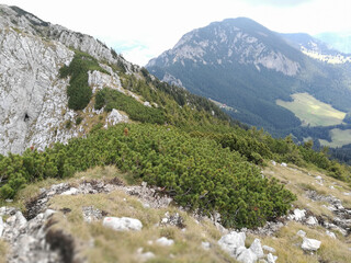 mountainous landscape. photo during the day.