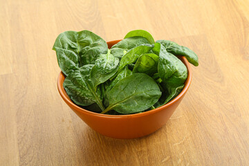 Fresh green spinach leaves in the bowl
