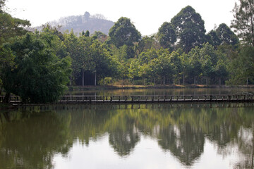 Landscape of a lake with a long wooden bridge with forest trees and distant mountains reflecting in the water