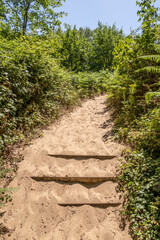 Sentier sablonneux dans l'Espace Naturel Sensible des dunes d'Ecault