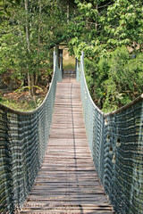Obraz premium View along a long wooden swing bridge with green forest trees in the distance