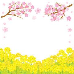 Obraz na płótnie Canvas 春の桜と菜の花の風景イラスト