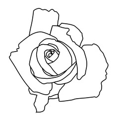 An open rose, a contour drawing for coloring, a logo or an icon