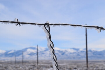 Nevada Winter Frost