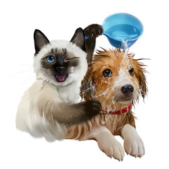 The cat waters the dog from the ladle