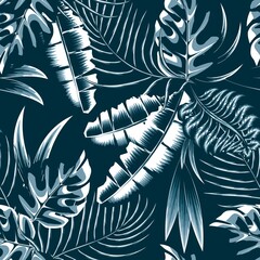 Abstracte naadloze patroon met heldere monochromatische tropische bananen palmbladeren en mostera planten gebladerte op nacht achtergrond. Vectorontwerp. Jungleprint. Bloemen achtergrond. Exotisch zomerontwerp