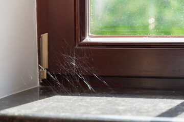 Cobweb in corner of modern window close up
