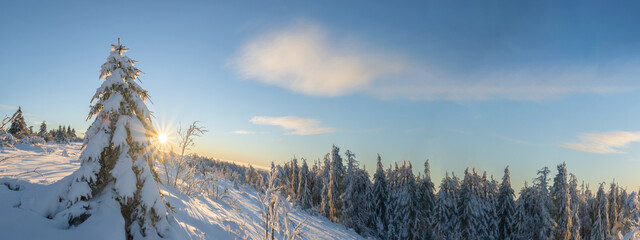 Stunning panorama of snowy landscape in winter in Black Forest - Snow view winter wonderland snowscape background banner with frozen trees, icicle blue sky and sunshine