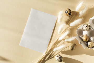 Minimal Easter card with white dried bunny tail grass and quail eggs on natural beige background.