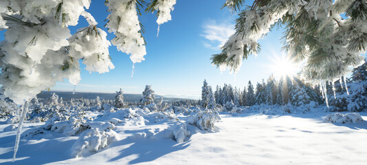Stunning panorama of snowy landscape in winter in Black Forest - Snow view winter wonderland snowscape background banner with frozen trees, icicle blue sky and sunshine - obrazy, fototapety, plakaty