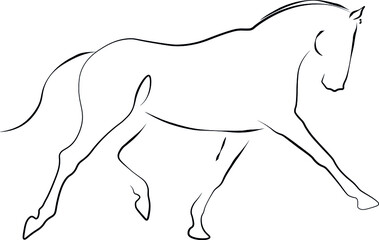 dressage horse illustration vector art