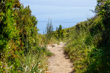 Port Vendres mediterranean natural pathway in vermeille coast in south sea beach Pyrenees Orientales in Languedoc-Roussillon France