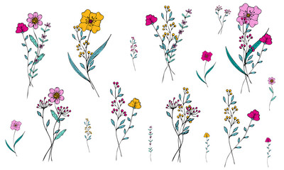 Set of cute field mini bouquets of vector flowers and branches in doodle style on a white background. Simple flowers and plants. Isolated objects.