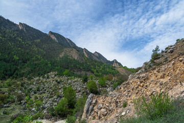 Jagged rocky ridge covered with sparse forest against a blue sky. Minimalistic atmospheric landscape with rocky mountain wall with pointy top in sunny light. Loose stone mountain slopes.