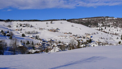 Fototapeta na wymiar Blick auf den Ortsteil Hofsgrund der Gemeinde Oberried mit dem Schauinsland im Hintergrund