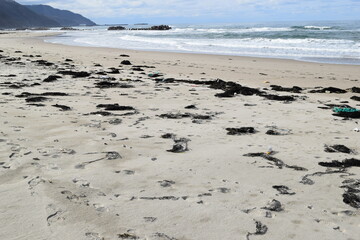 海岸の漂着物 環境問題 ゴミ問題