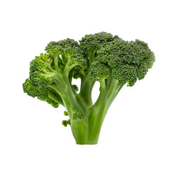 Broccoli on a white background