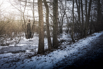 Road and frozen swamp in winter, Kolobrzeg Podczele, Poland