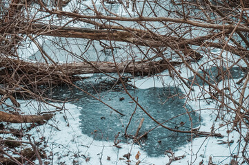 Frozen swamp in winter, Kolobrzeg Podczele, Poland